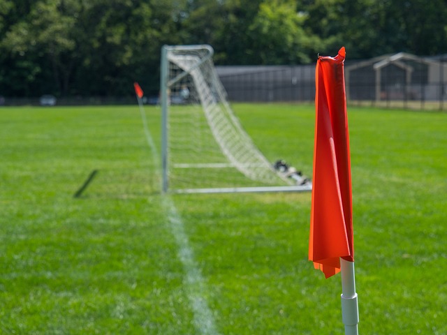 这些年轻球 这些年轻球