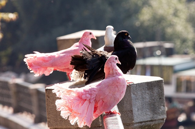 通过这次人 通过这次人
