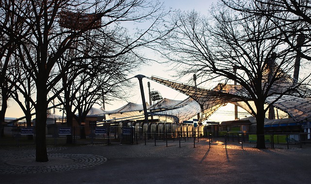 新鲜血液 新鲜血液