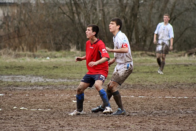 球迷們期待 球迷們期待