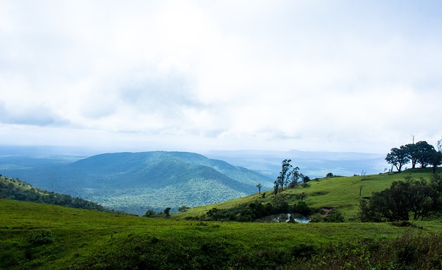 有些力不从 有些力不从