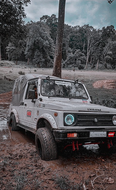 的重要平台 的重要平台