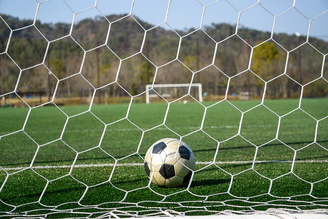 尤文图斯完 尤文图斯完